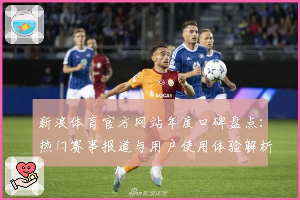 新浪体育官方网站年度口碑盘点:热门赛事报道与用户使用体验解析
