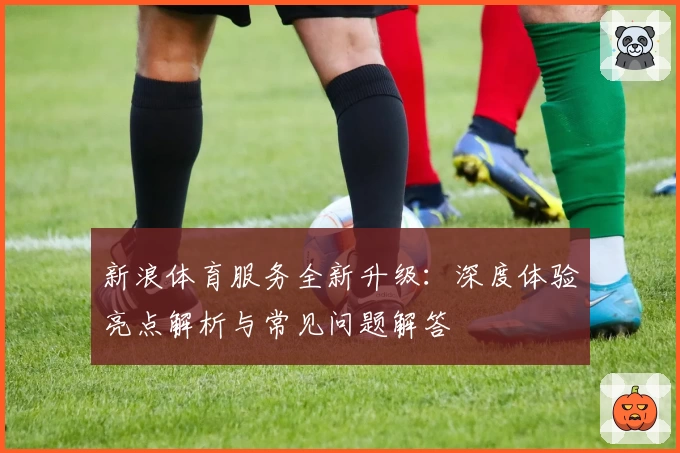 新浪体育服务全新升级：深度体验亮点解析与常见问题解答
