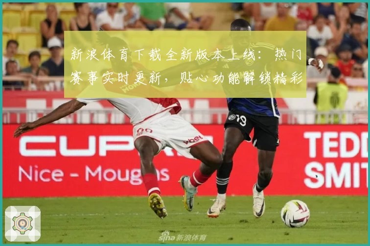 新浪体育下载全新版本上线：热门赛事实时更新，贴心功能解锁精彩体验