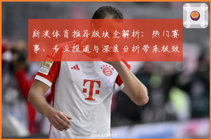 新浪体育推荐版块全解析：热门赛事、专业报道与深度分析带来极致体验