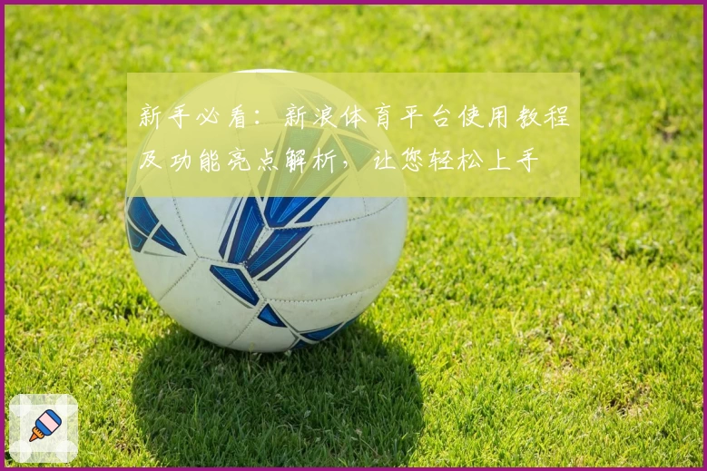 新手必看：新浪体育平台使用教程及功能亮点解析，让您轻松上手