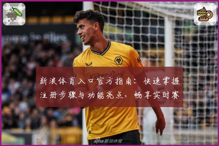 新浪体育入口官方指南:快速掌握注册步骤与功能亮点,畅享实时赛事资讯