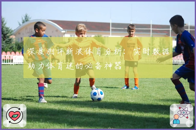 深度测评新浪体育分析：实时数据助力体育迷的必备神器
