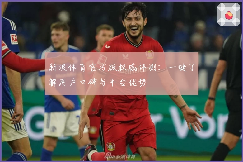 新浪体育官方版权威评测:一键了解用户口碑与平台优势