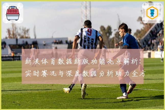 新浪体育数据新版功能亮点解析：实时赛况与深度数据分析助力全方位观赛体验