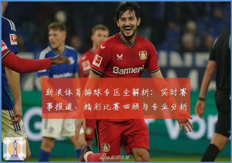 新浪体育排球专区全解析：实时赛事报道、精彩比赛回顾与专业分析一站掌握