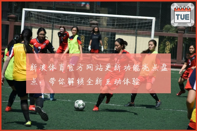 新浪体育官方网站更新功能亮点盘点，带你解锁全新互动体验