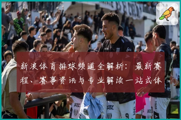 新浪体育排球频道全解析:最新赛程、赛事资讯与专业解读一站式体验