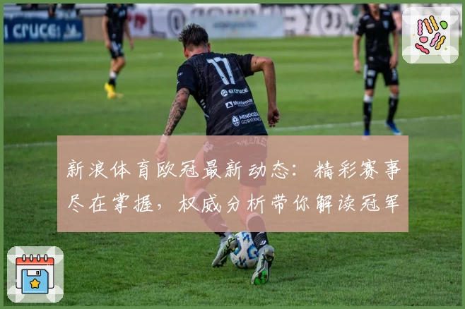 新浪体育欧冠最新动态:精彩赛事尽在掌握,权威分析带你解读冠军之路