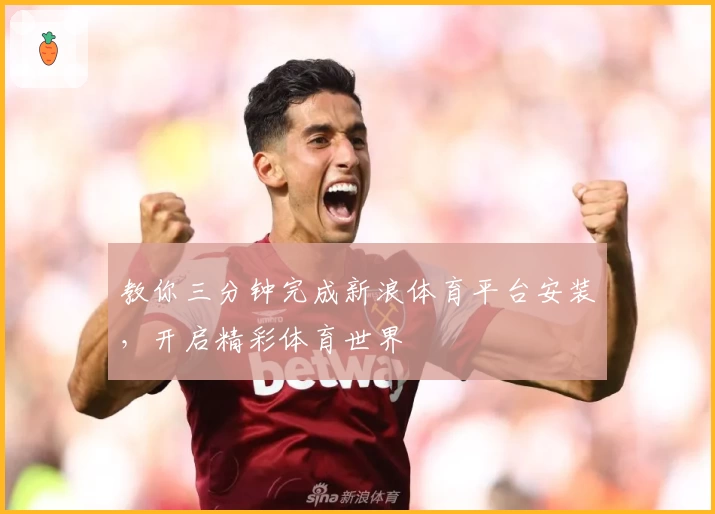 教你三分钟完成新浪体育平台安装，开启精彩体育世界