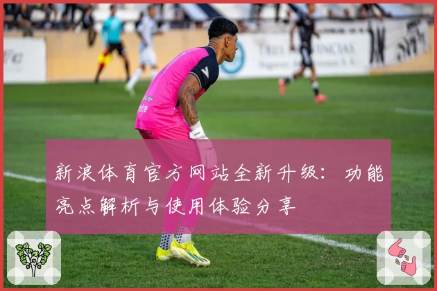新浪体育官方网站全新升级：功能亮点解析与使用体验分享