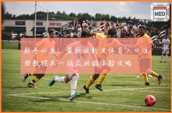 新手必看：最新版新浪体育入口注册教程及一站式功能体验攻略